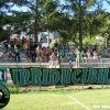 curva 2009-2010 serie D